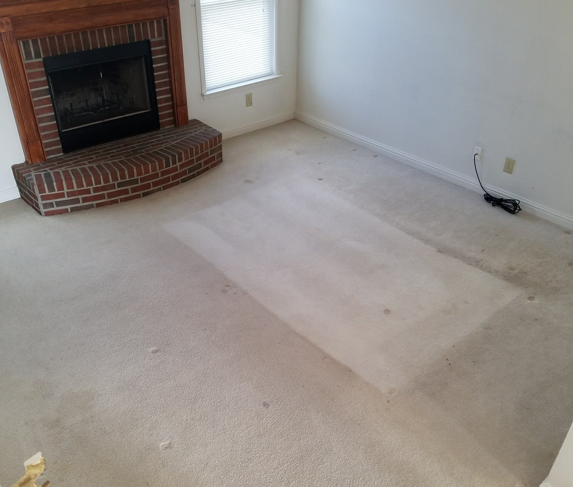 carpet cleaning 