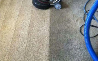 # The Ultimate Guide to Carpet Cleaning in Indianapolis, IN